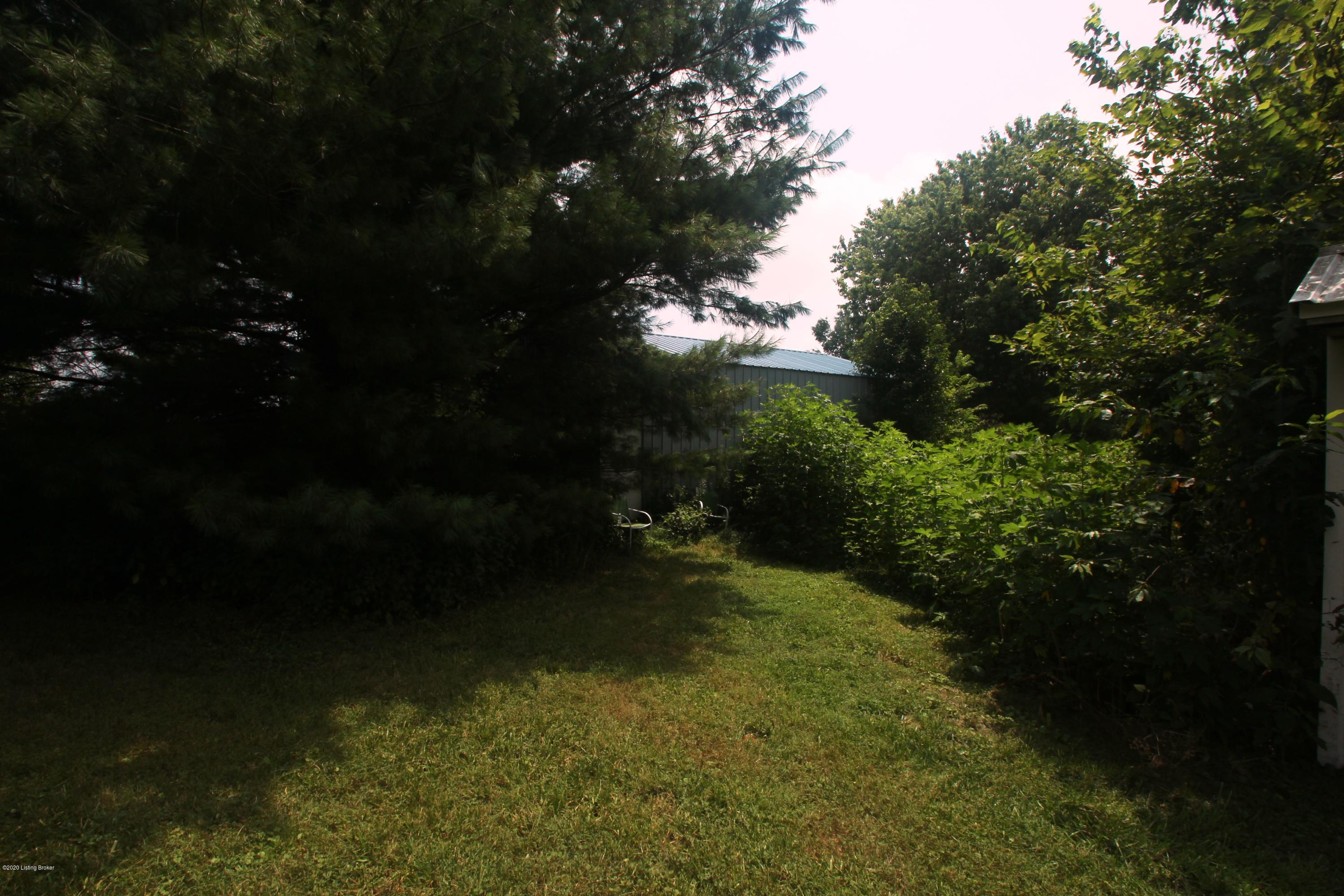 61 Sand Springs Road Eminence, KY 40019 - Photo 9 of 14 011