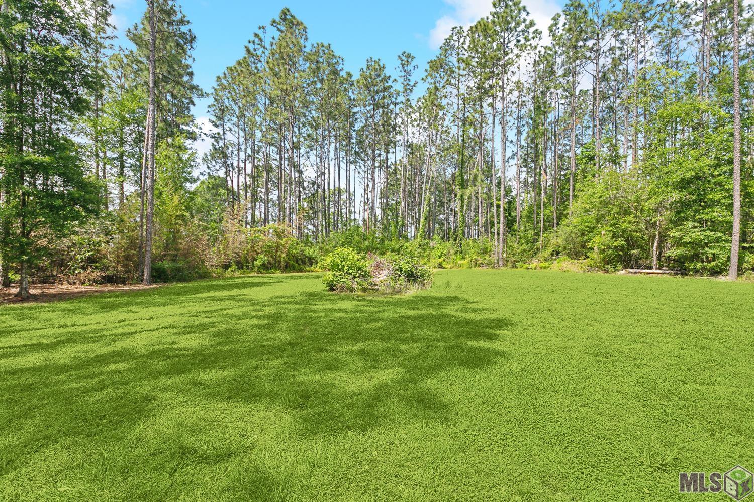 22432 Rodeo Drive Amite, LA 70422 - Photo 14 of 15 Gallery Image 14