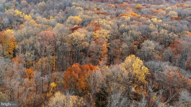 $799,000 | 4224 Piney Grove Road, Glyndon, MD 21136