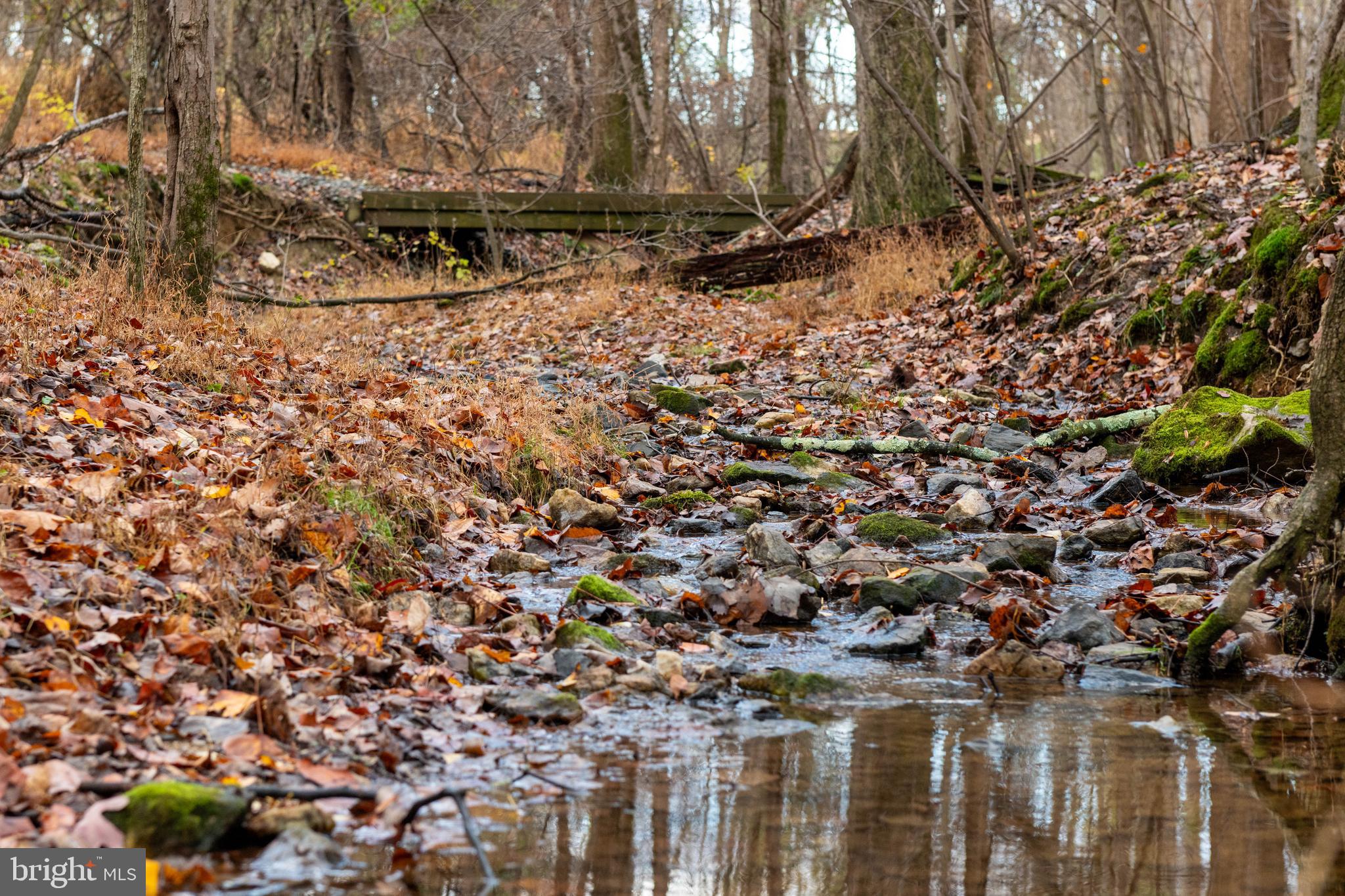 4224 Piney Grove Road Glyndon, MD 21136 - Photo 17 of 22 a view of a yard