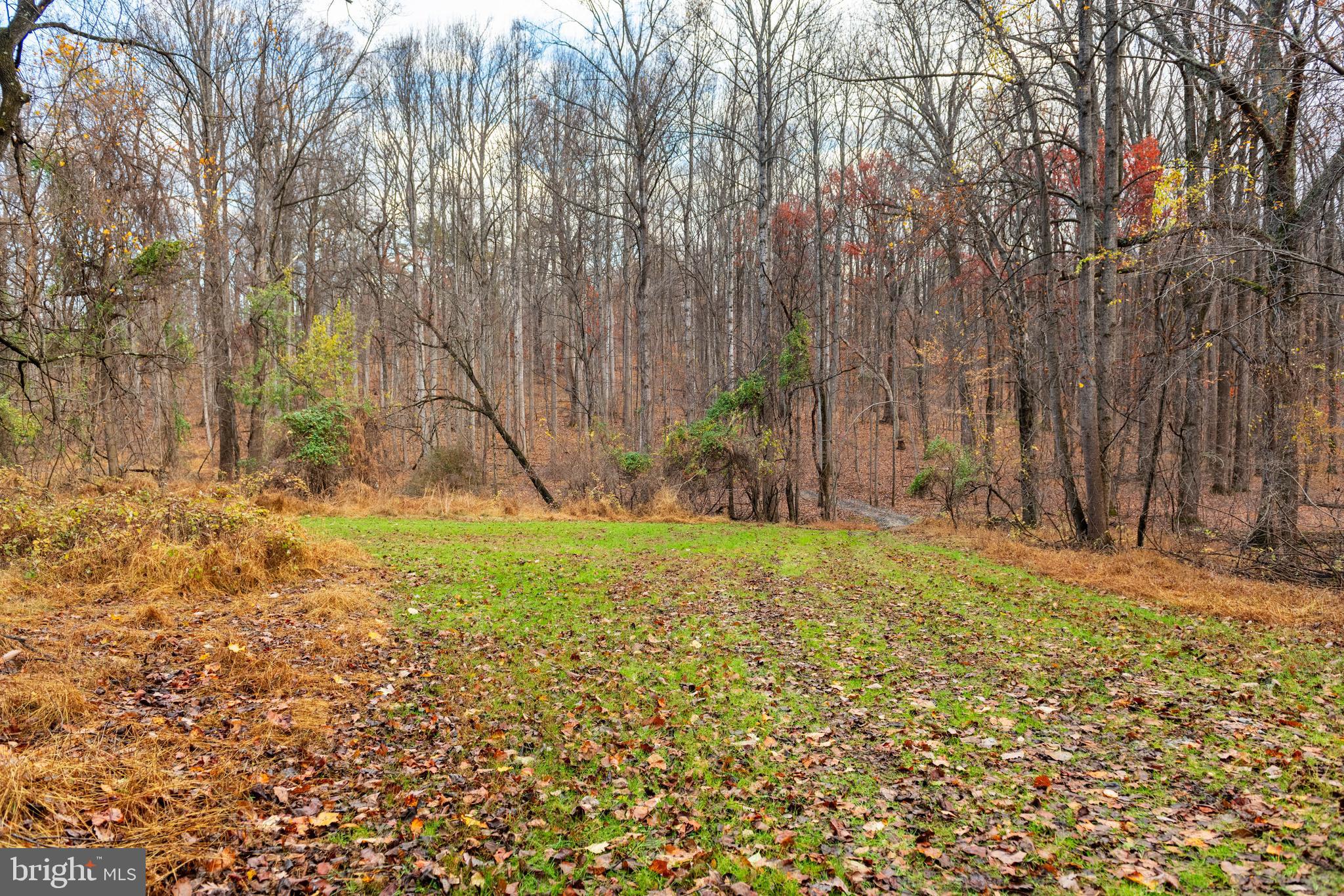 4224 Piney Grove Road Glyndon, MD 21136 - Photo 19 of 22 a view of backyard with outdoor space