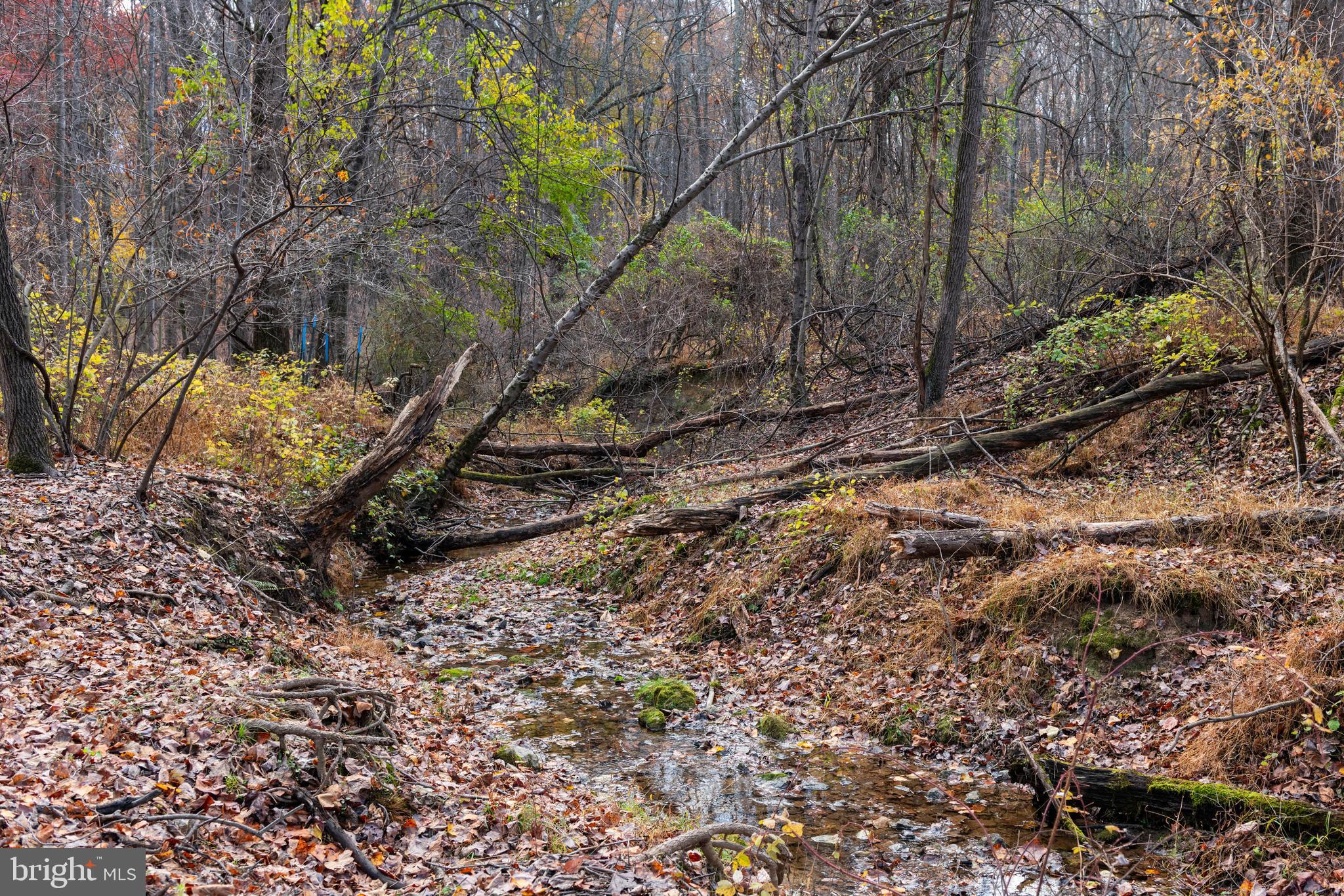 4224 Piney Grove Road Glyndon, MD 21136 - Photo 20 of 22 a view of a yard with large trees