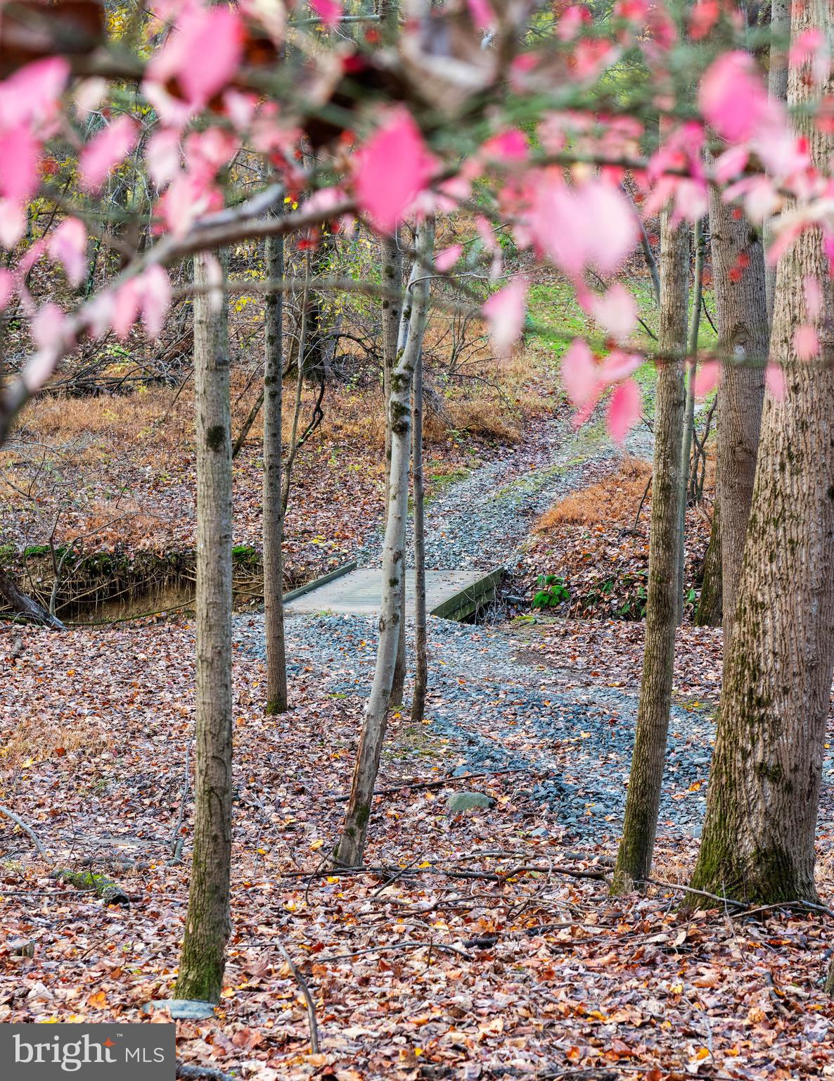 4224 Piney Grove Road Glyndon, MD 21136 - Photo 2 of 22 a view of a house with a yard
