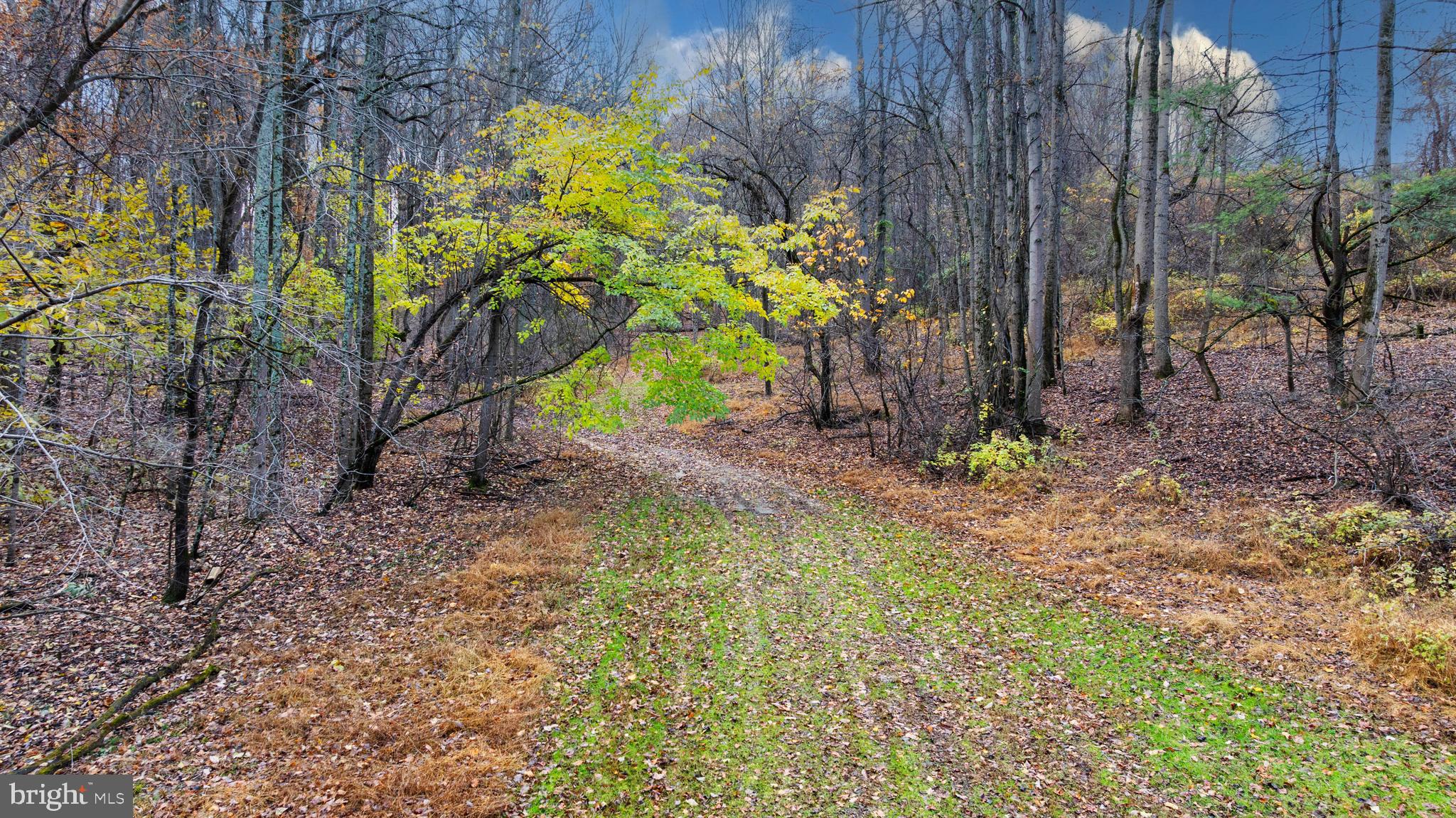 4224 Piney Grove Road Glyndon, MD 21136 - Photo 21 of 22