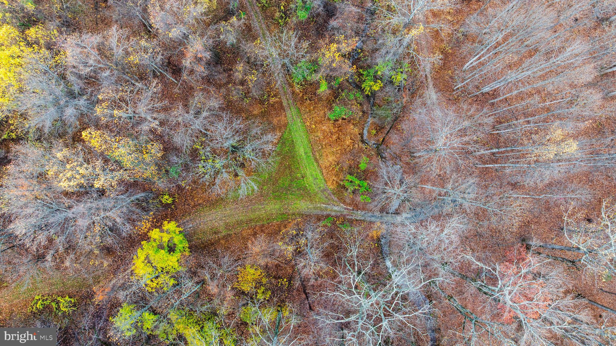 4224 Piney Grove Road Glyndon, MD 21136 - Photo 22 of 22 a picture of trees