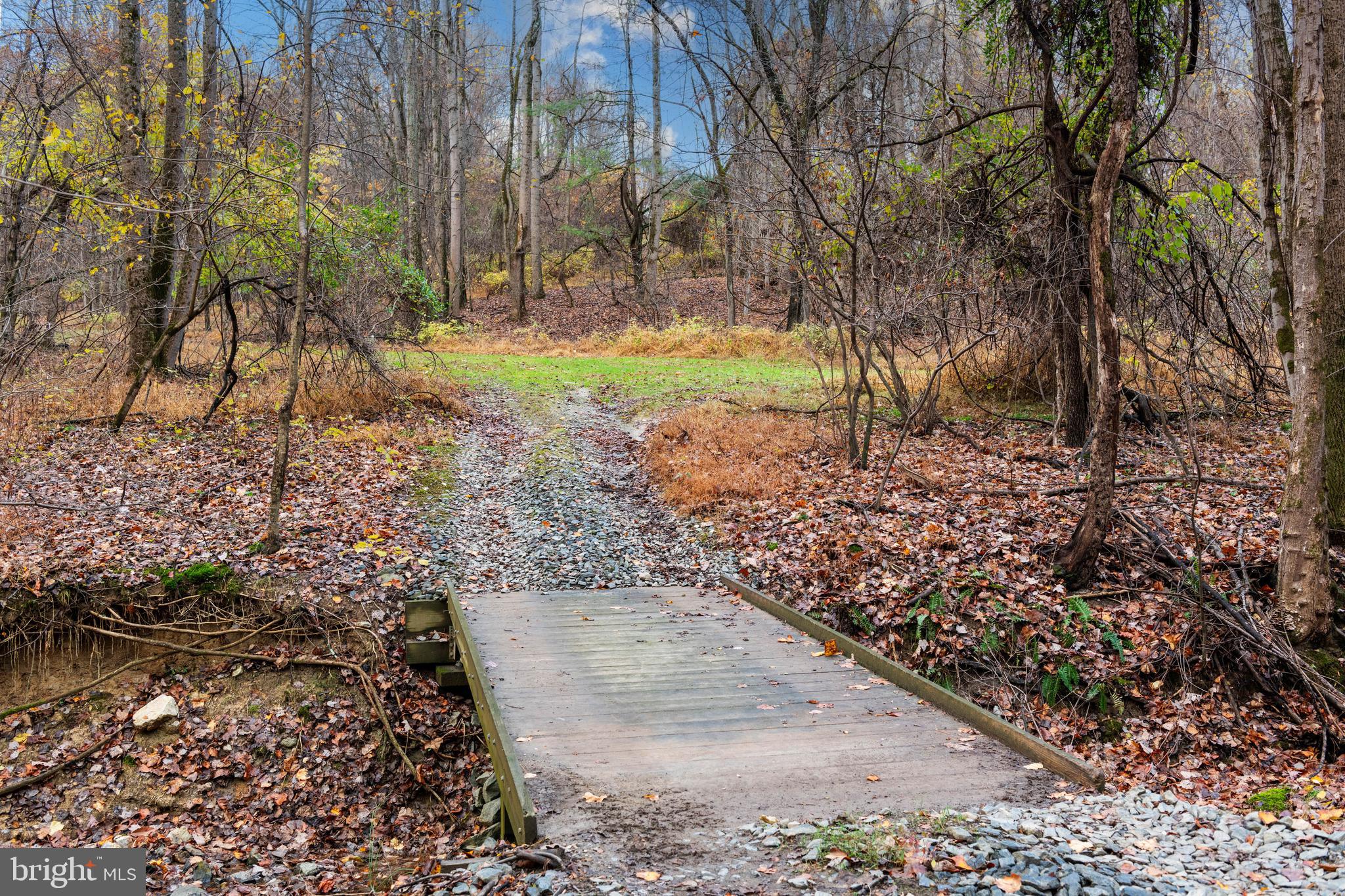 4224 Piney Grove Road Glyndon, MD 21136 - Photo 7 of 22 a view of a yard with trees