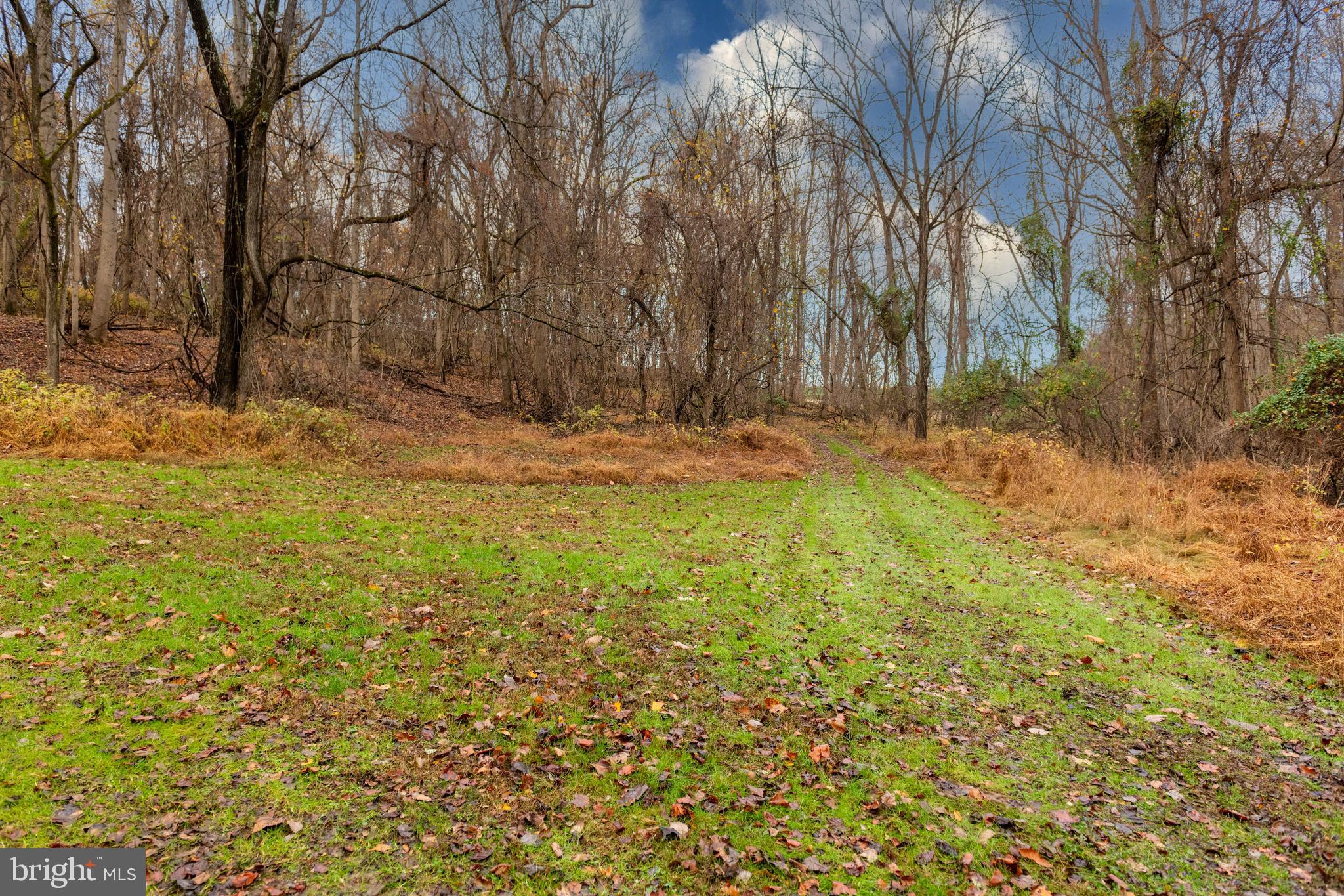 4224 Piney Grove Road Glyndon, MD 21136 - Photo 9 of 22 a backyard of a house with large trees