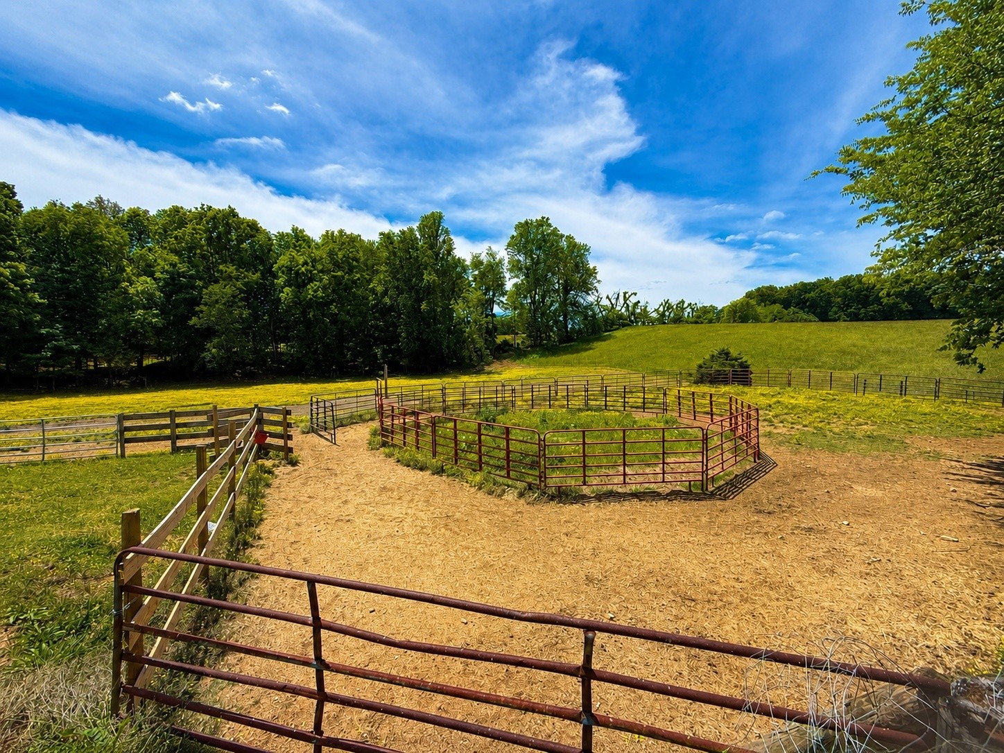 1126 Cedar Creek Road Vanleer, TN 37181 - Photo 4 of 38