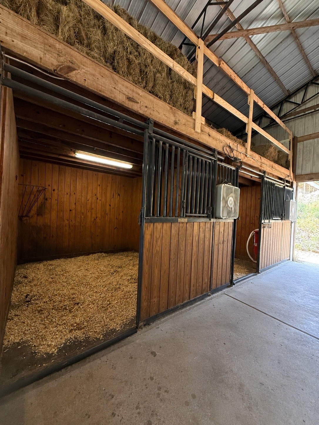 1126 Cedar Creek Road Vanleer, TN 37181 - Photo 10 of 38