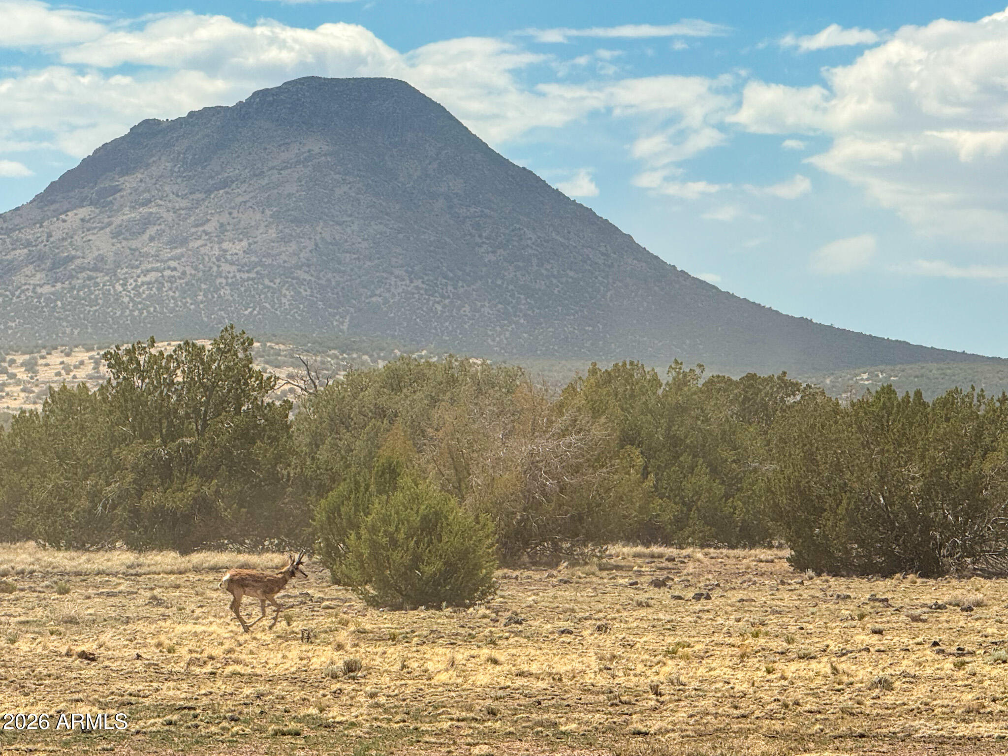 0 West Mile High Road, Unit 84 Ash Fork, AZ 86320 - Photo 2 of 22 a view of a snow on the mountain