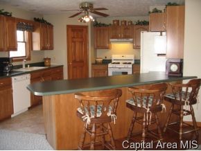 11400 Knoles Road Petersburg, IL 62675 - Photo 5 of 12 Gallery Image 5