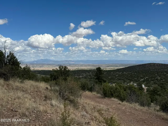 a view of a lake in middle of forest