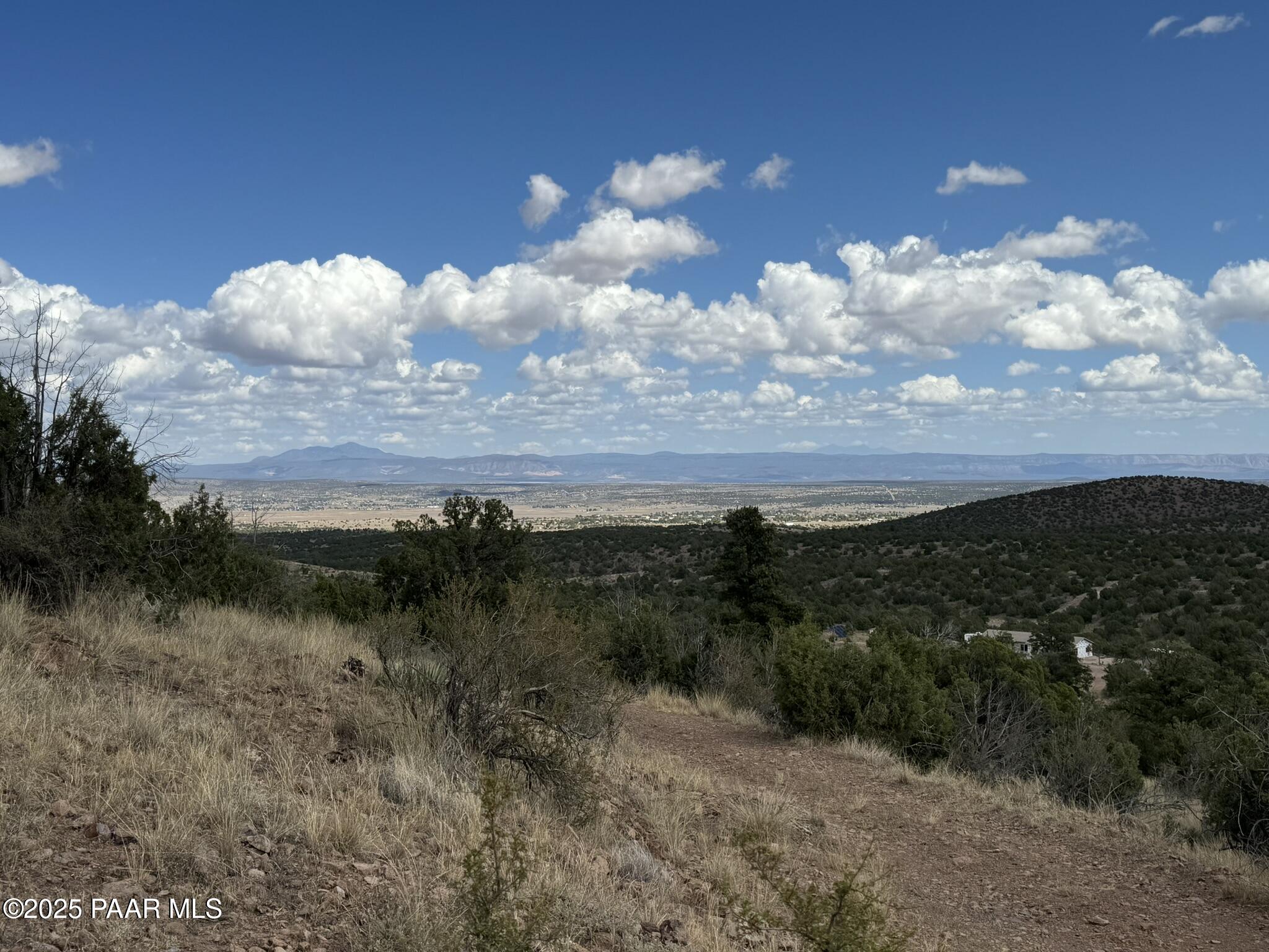 a view of a lake in middle of forest