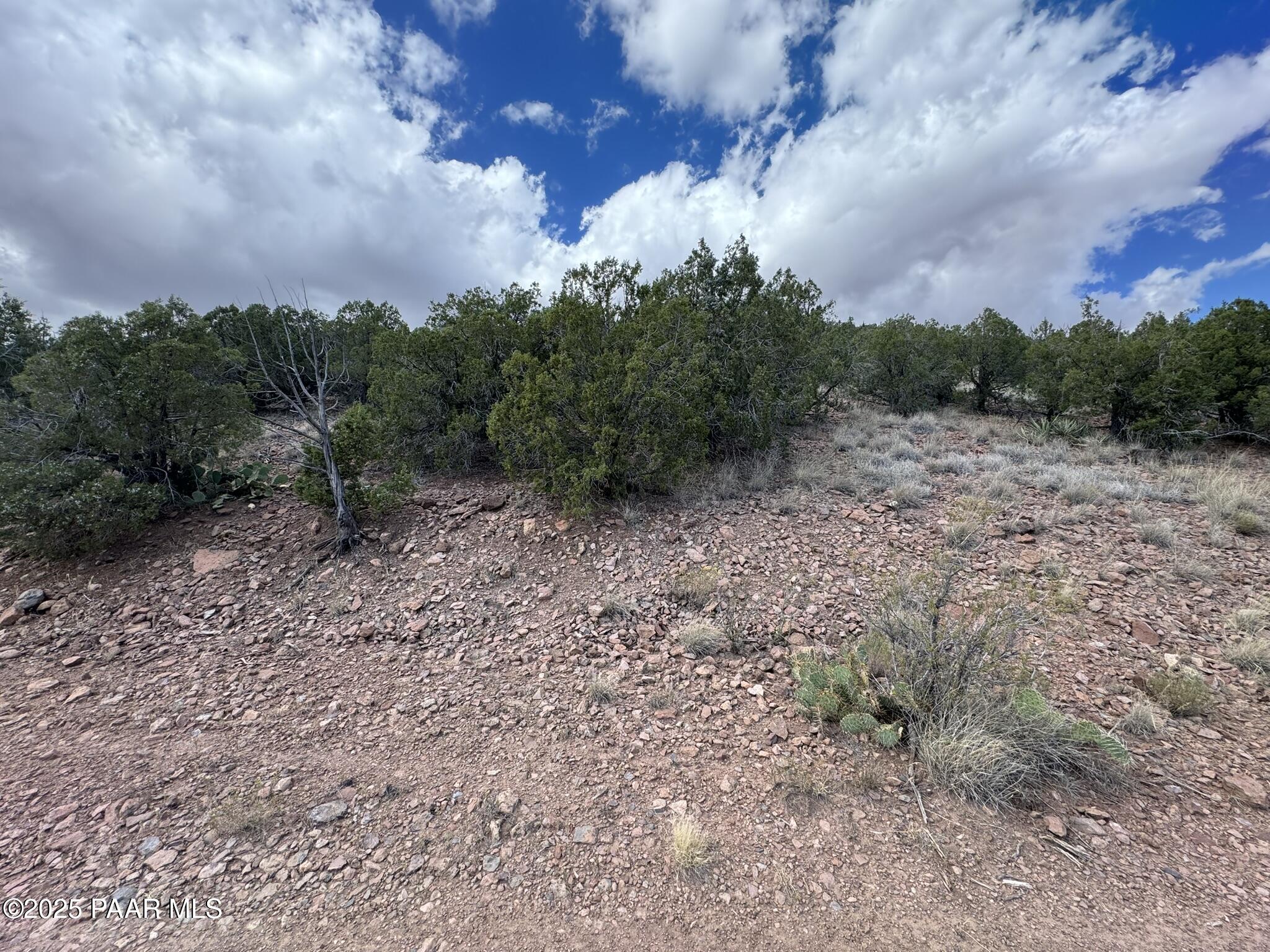0 West Cedar Heights Road Prescott, AZ 86305 - Photo 4 of 8 a view of a yard