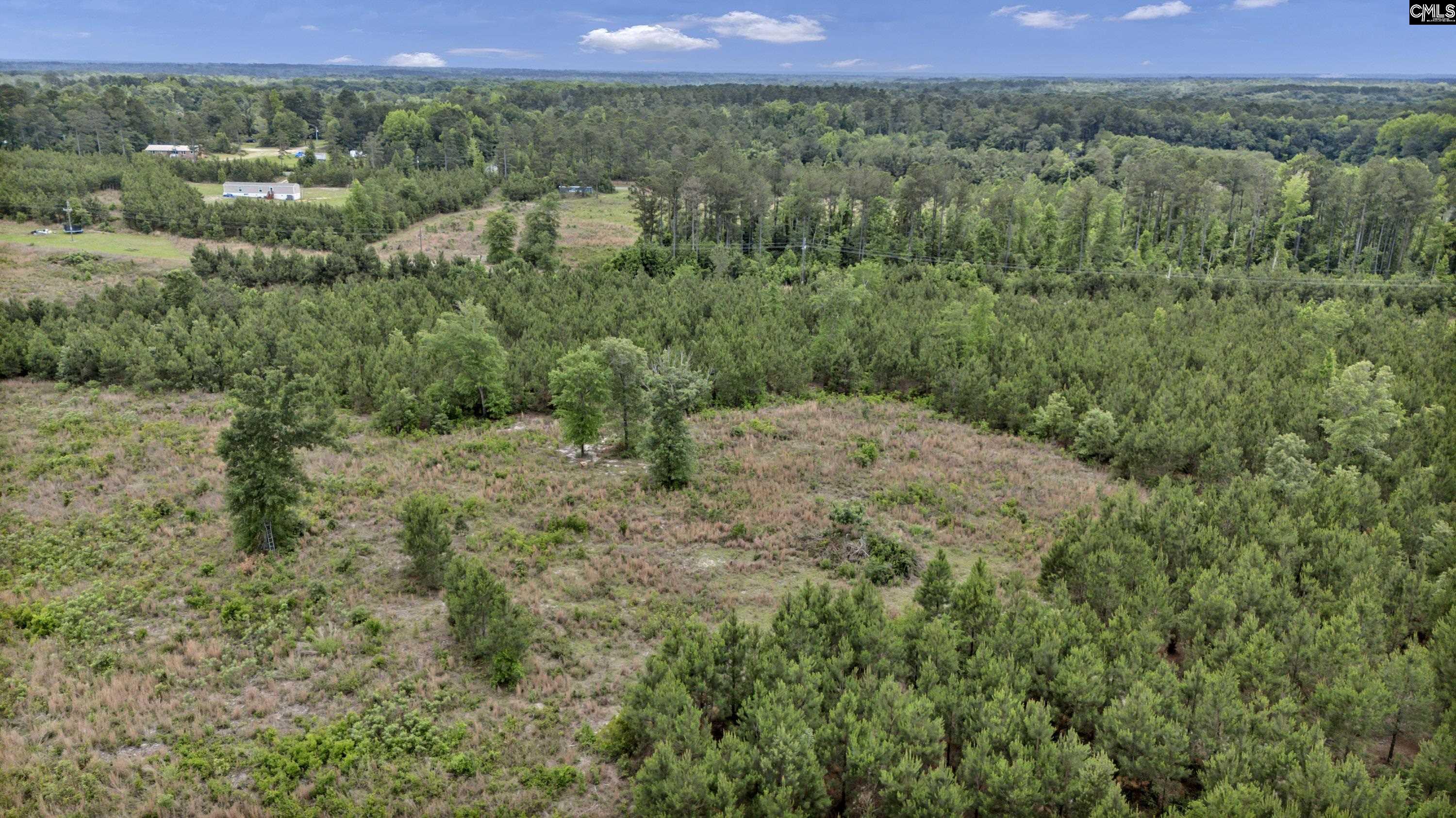 Na Bull Swamp Road North, SC 29112 - Photo 23 of 28