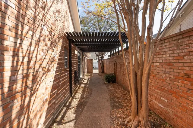 a view of a yard with plants and trees