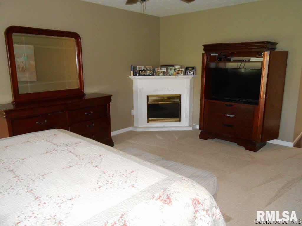 6701 Preston Drive Springfield, IL 62711 - Photo 15 of 26 Gallery Image 15