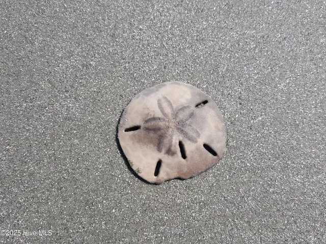 $307,000 | 973 Great Egret Circle Southwest, Unit 1, Sunset Beach, NC 28468