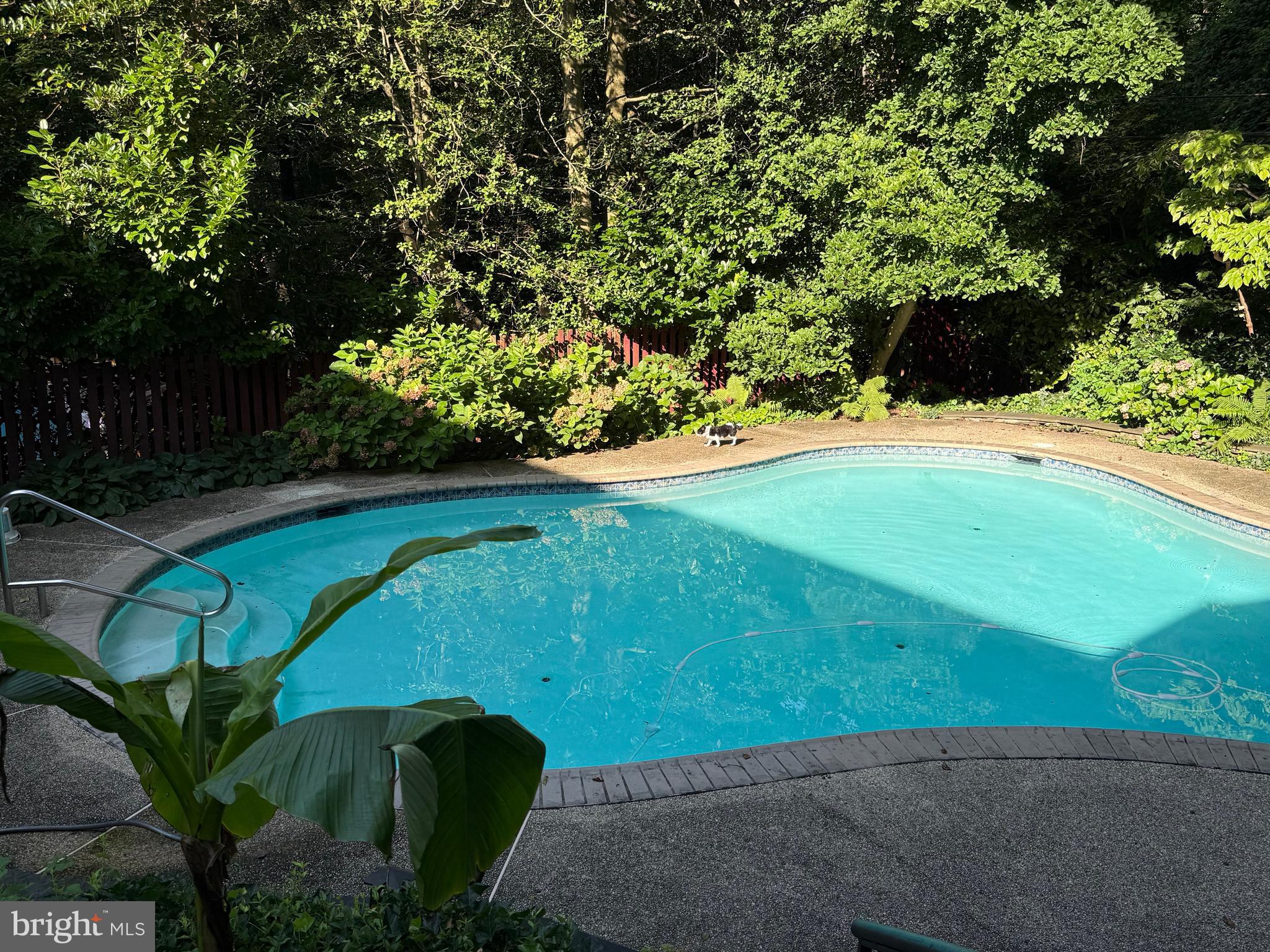 5344 Falmouth Road Bethesda, MD 20816 - Photo 2 of 25 a view of a garden