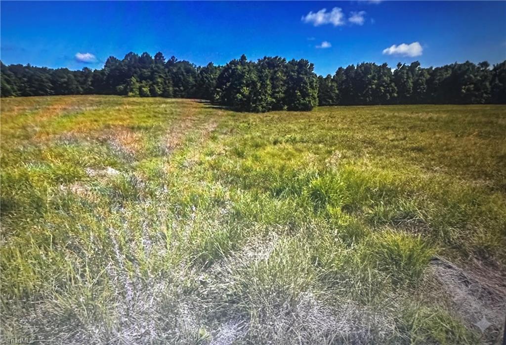 1 George Miles Road Burlington, NC 27217 - Photo 6 of 8
