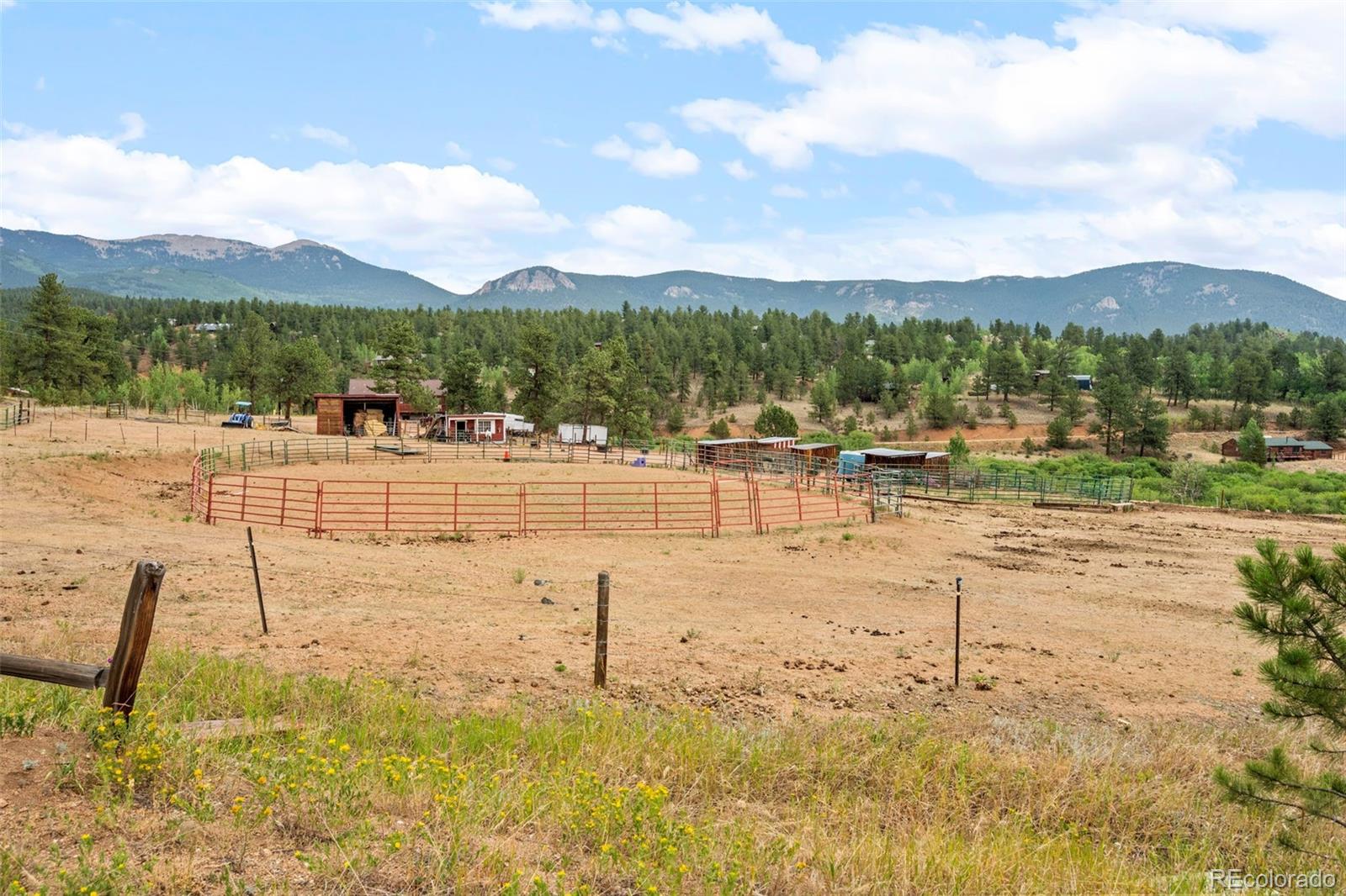 1682 Clark Road Bailey, CO 80421 - Photo 37 of 45