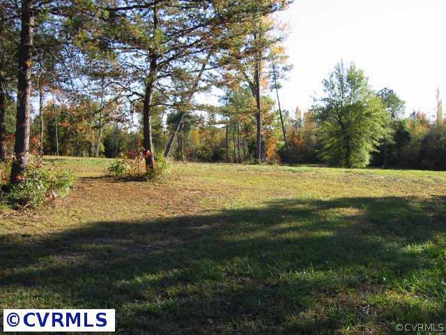 15211 Green Acres Road Beaverdam, VA 23015 - Photo 2 of 7 Other