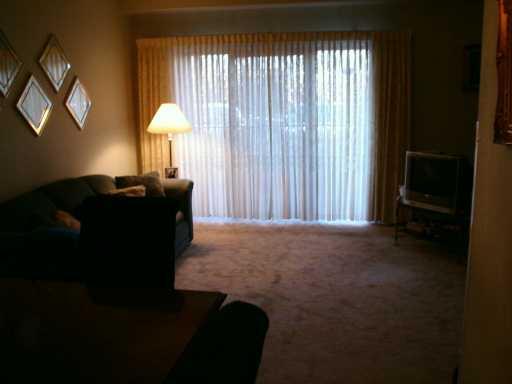 5600 Munhall Road, Unit 217 Pittsburgh, PA 15217 - Photo 3 of 8 Other.