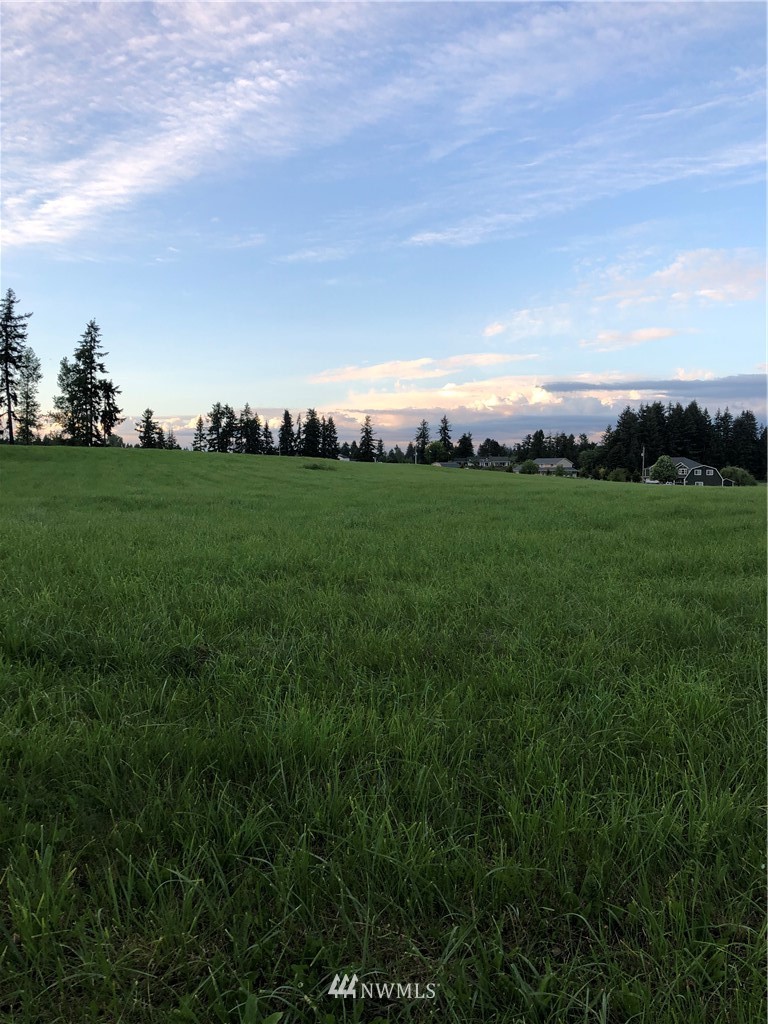 14237 Solberg Road Southeast Yelm, WA 98597 - Photo 22 of 27 Gallery Image 22