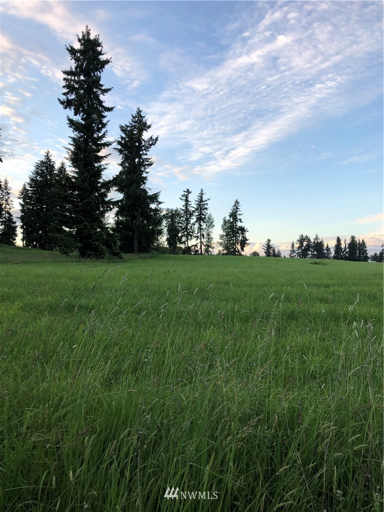 14237 Solberg Road Southeast Yelm, WA 98597 - Photo 23 of 27 Gallery Image 23