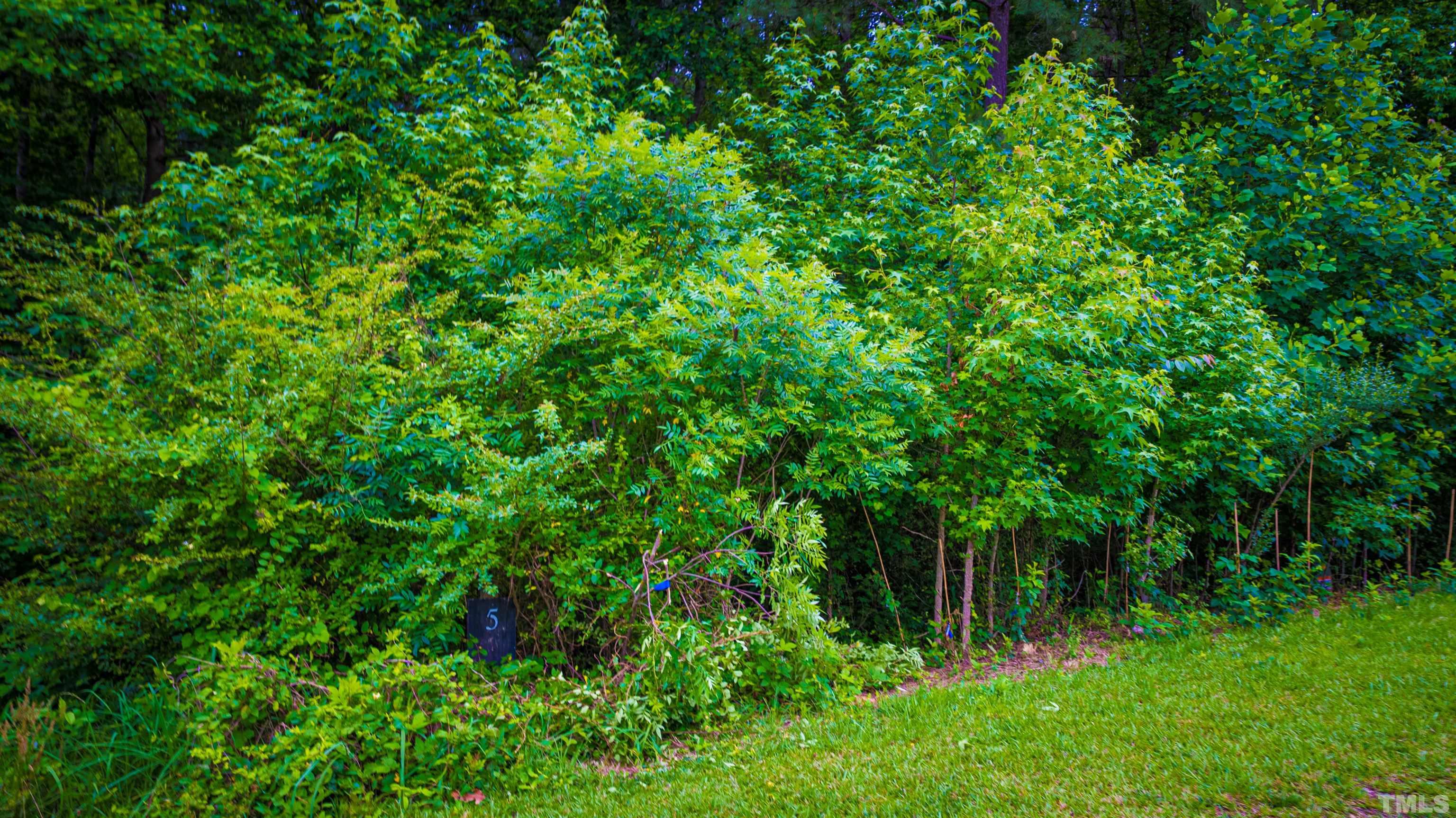 Lot 5 Canyoncreek Drive Sanford, NC 27330 - Photo 2 of 6 Gallery Image 2