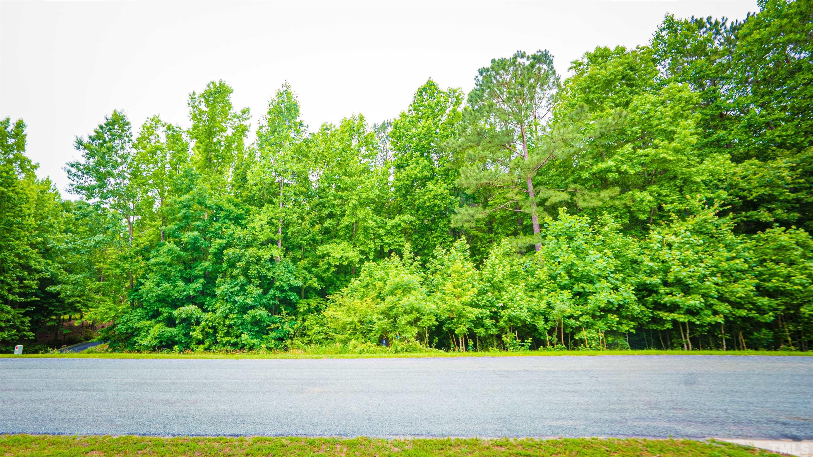 Lot 5 Canyoncreek Drive Sanford, NC 27330 - Photo 4 of 6 Gallery Image 4