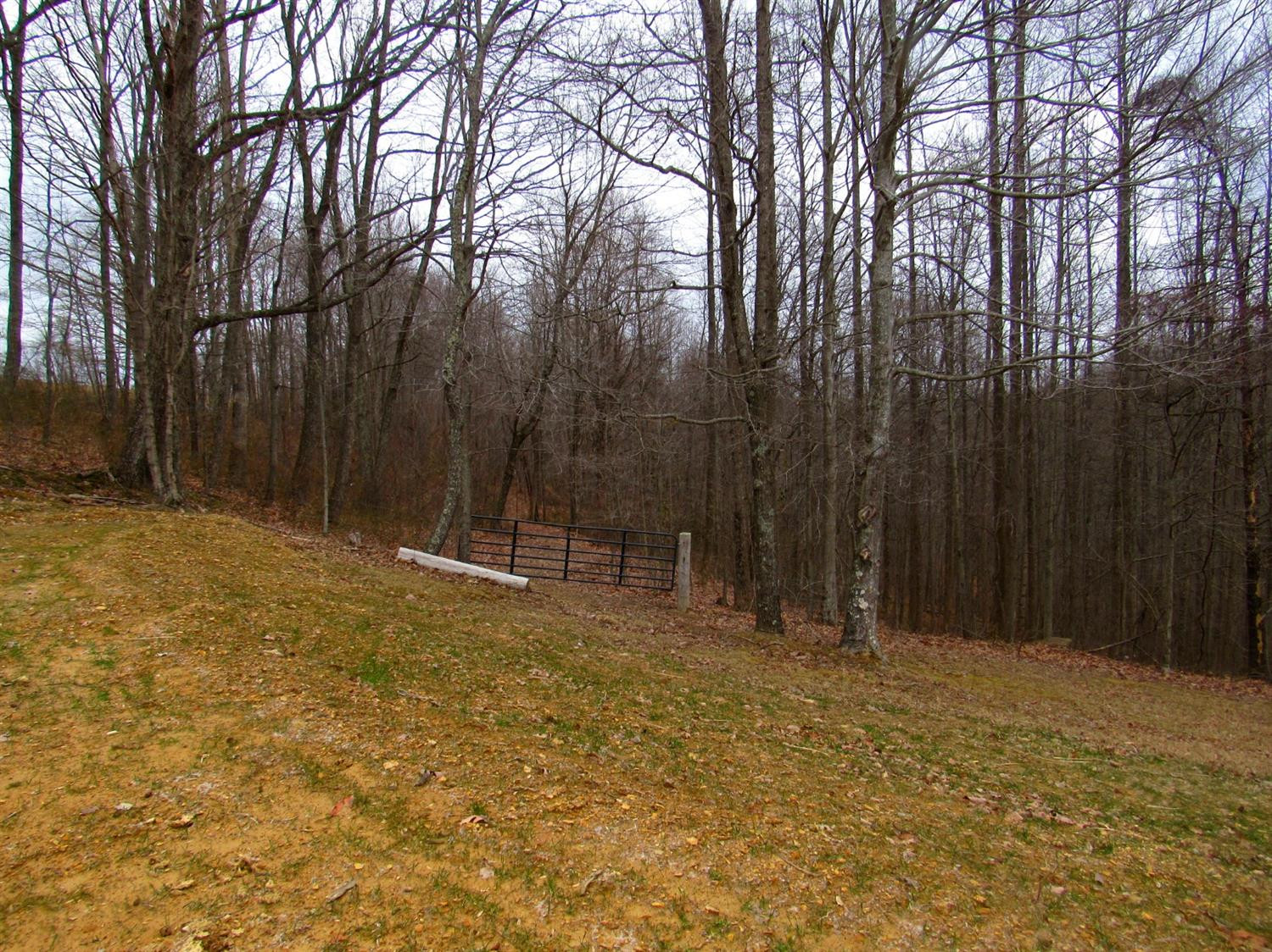 Photo 6