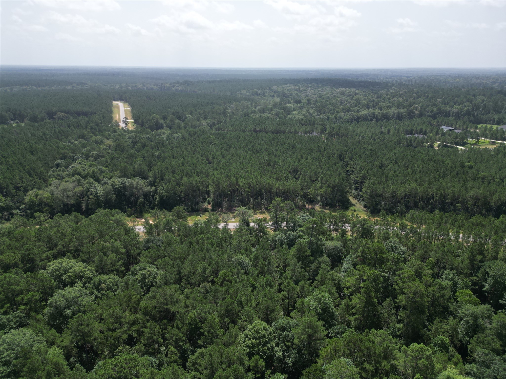 15884 Ridge Oak Road Willis, TX 77378 - Photo 15 of 24