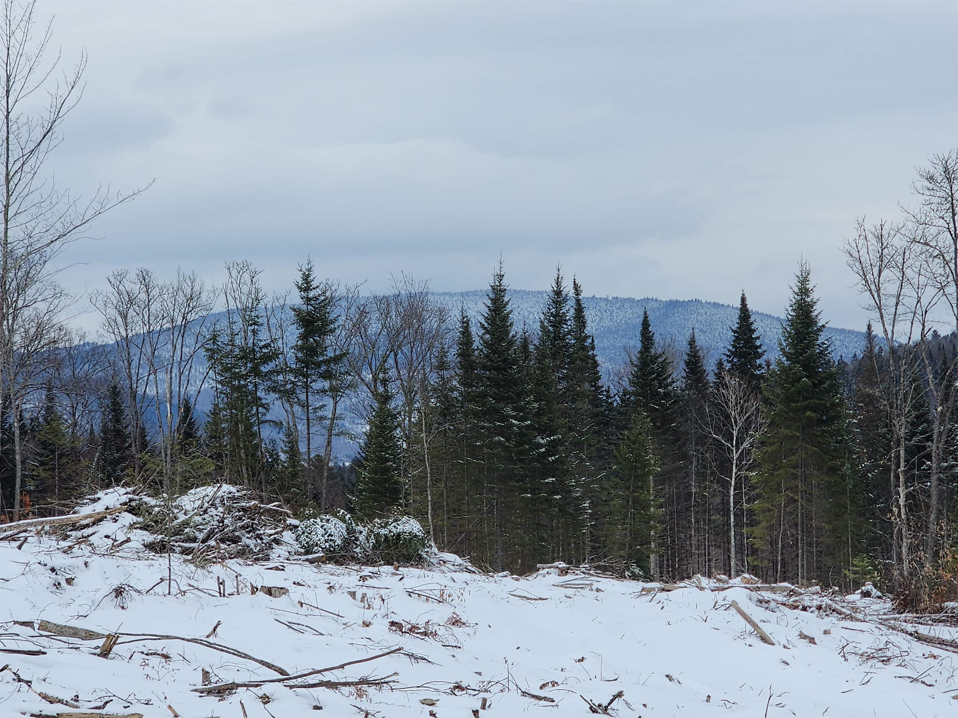 200 A Berlin Road, Unit R14341 Errol, NH 03579 - Photo 3 of 38