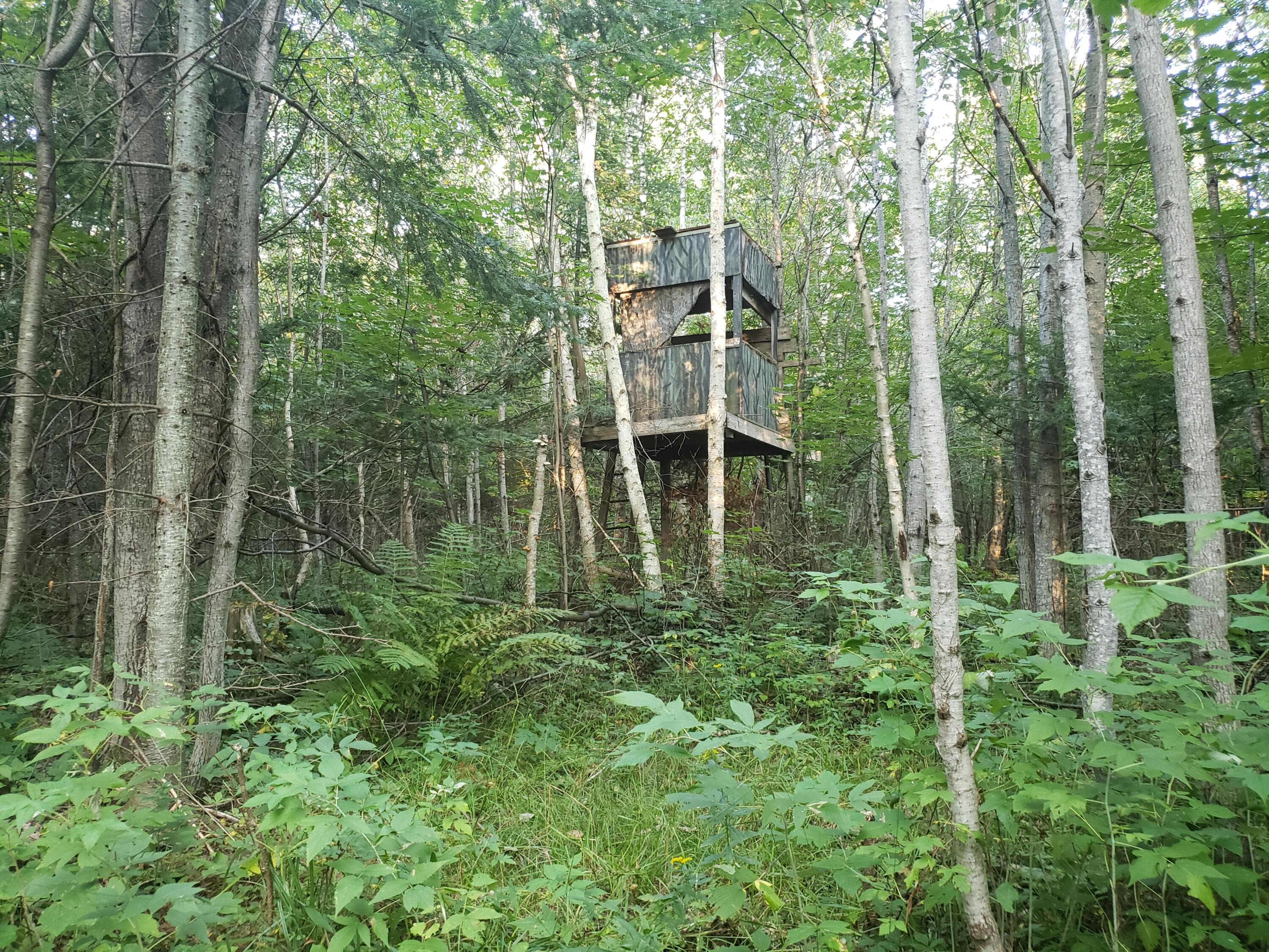 16706 Camp A Road Curtis, MI 49820 - Photo 1 of 13 Gallery Image 1