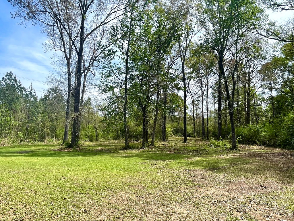 1044 8 Point Drive Summit, MS 39666 - Photo 5 of 40 Photo 5