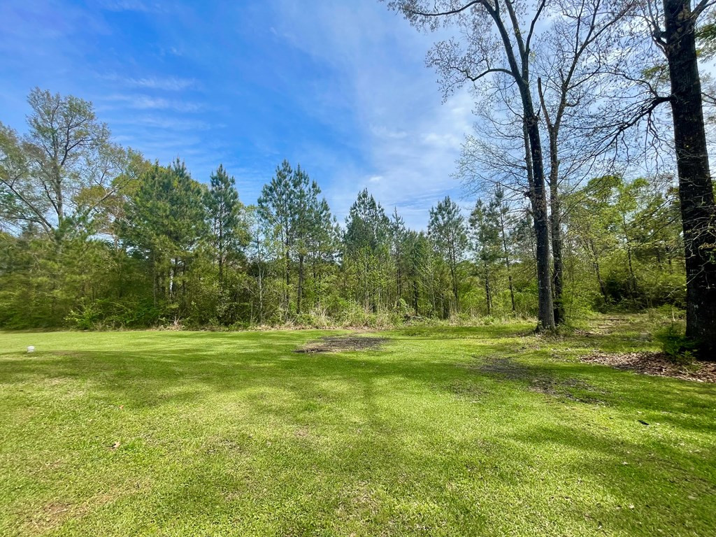 1044 8 Point Drive Summit, MS 39666 - Photo 7 of 40 Photo 7