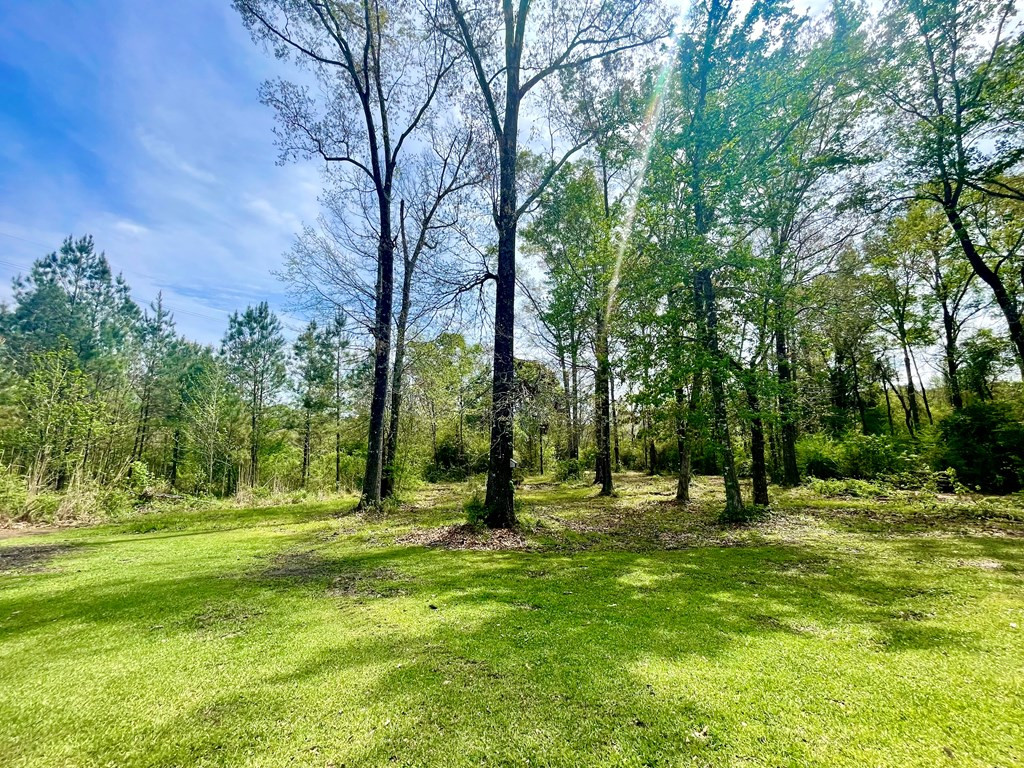 1044 8 Point Drive Summit, MS 39666 - Photo 8 of 40 Photo 8