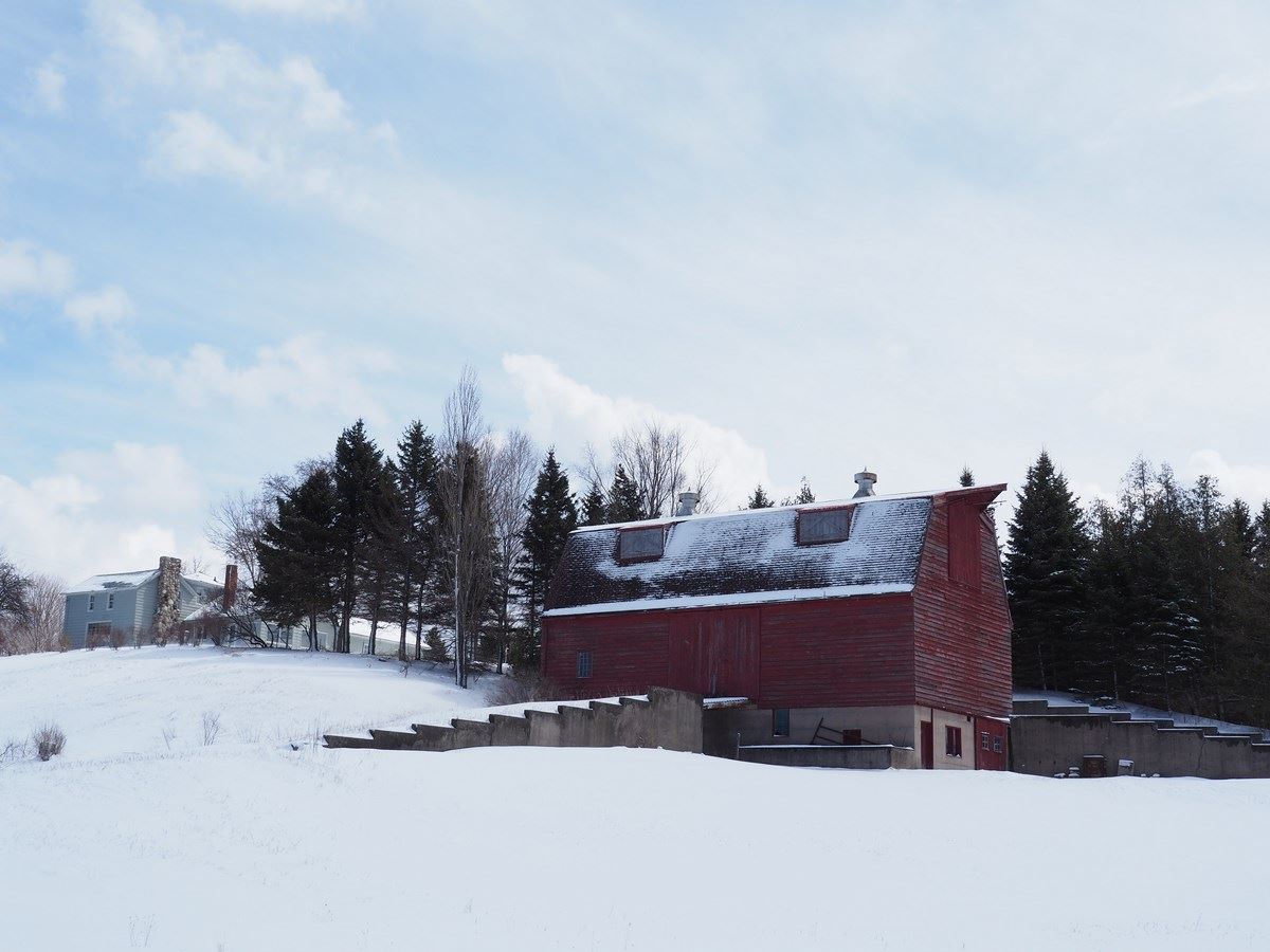1956 Edenhill Road Beulah, MI 49617 - Photo 2 of 54 1844902-1.JPG