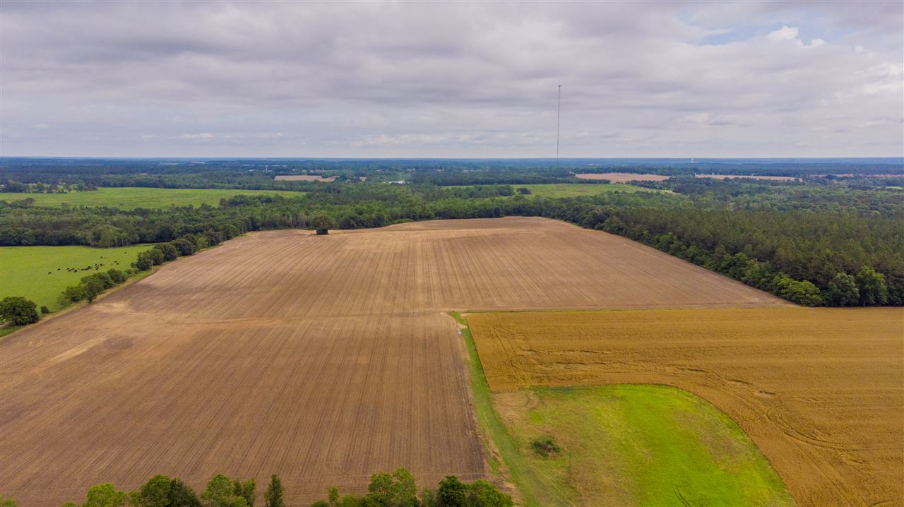 23900 Flowers Road Robertsdale, AL 36567 - Photo 11 of 13