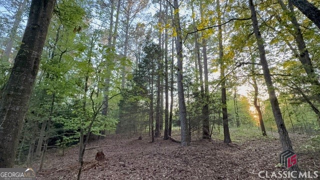0 Moore Road Elberton, GA 30635 - Photo 11 of 67