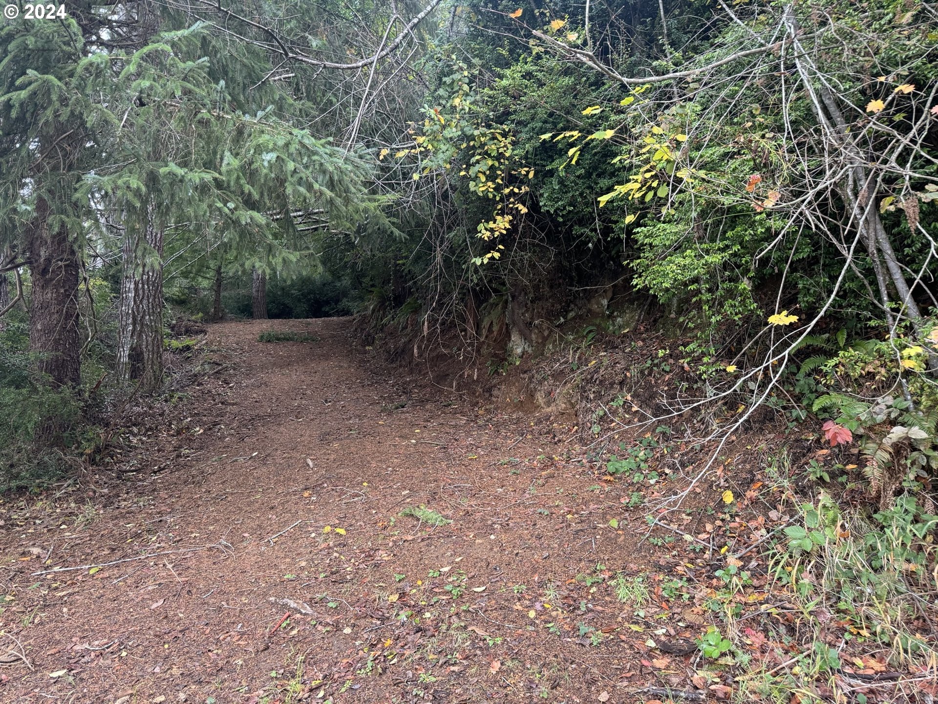 0 Potato Bottom Road, Unit 603 Lakeside, OR 97449 - Photo 15 of 27