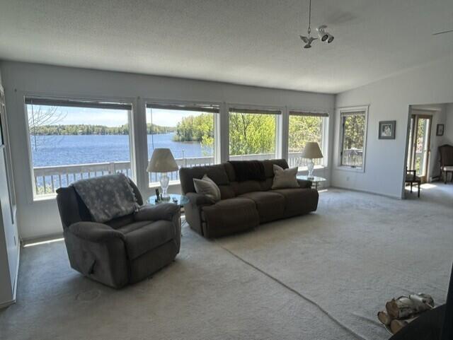 4323 Broadview Lane Lupton, MI 48635 - Photo 5 of 43 Living Room