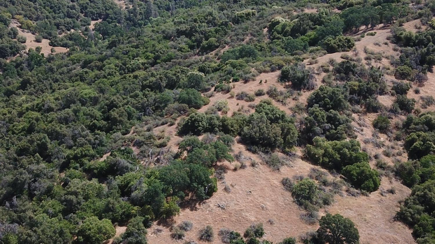 15 Acres Miramonte, CA 93641 - Photo 9 of 9 5