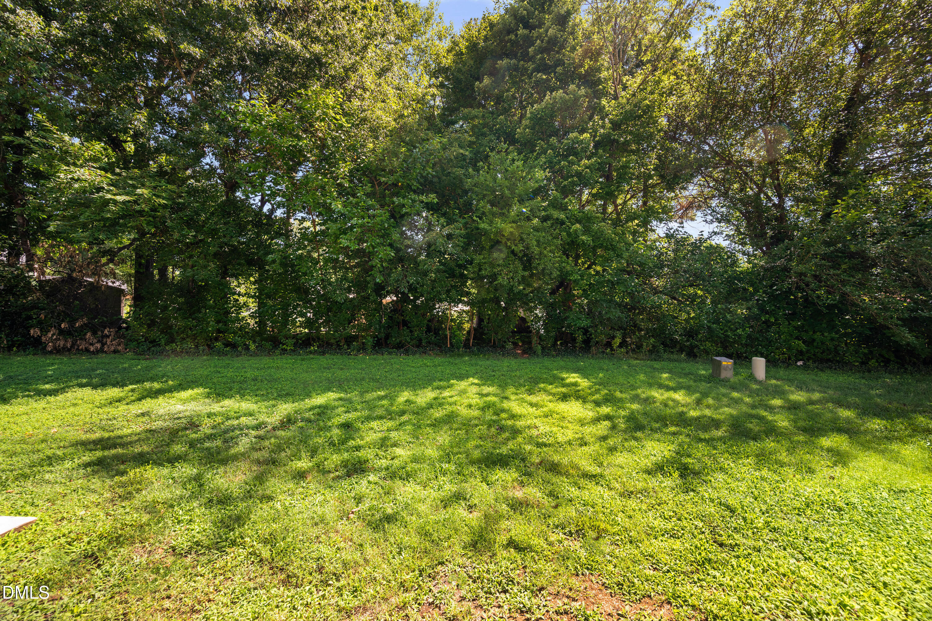 3645 Bison Hill Lane Raleigh, NC 27604 - Photo 38 of 46 DSC_4145