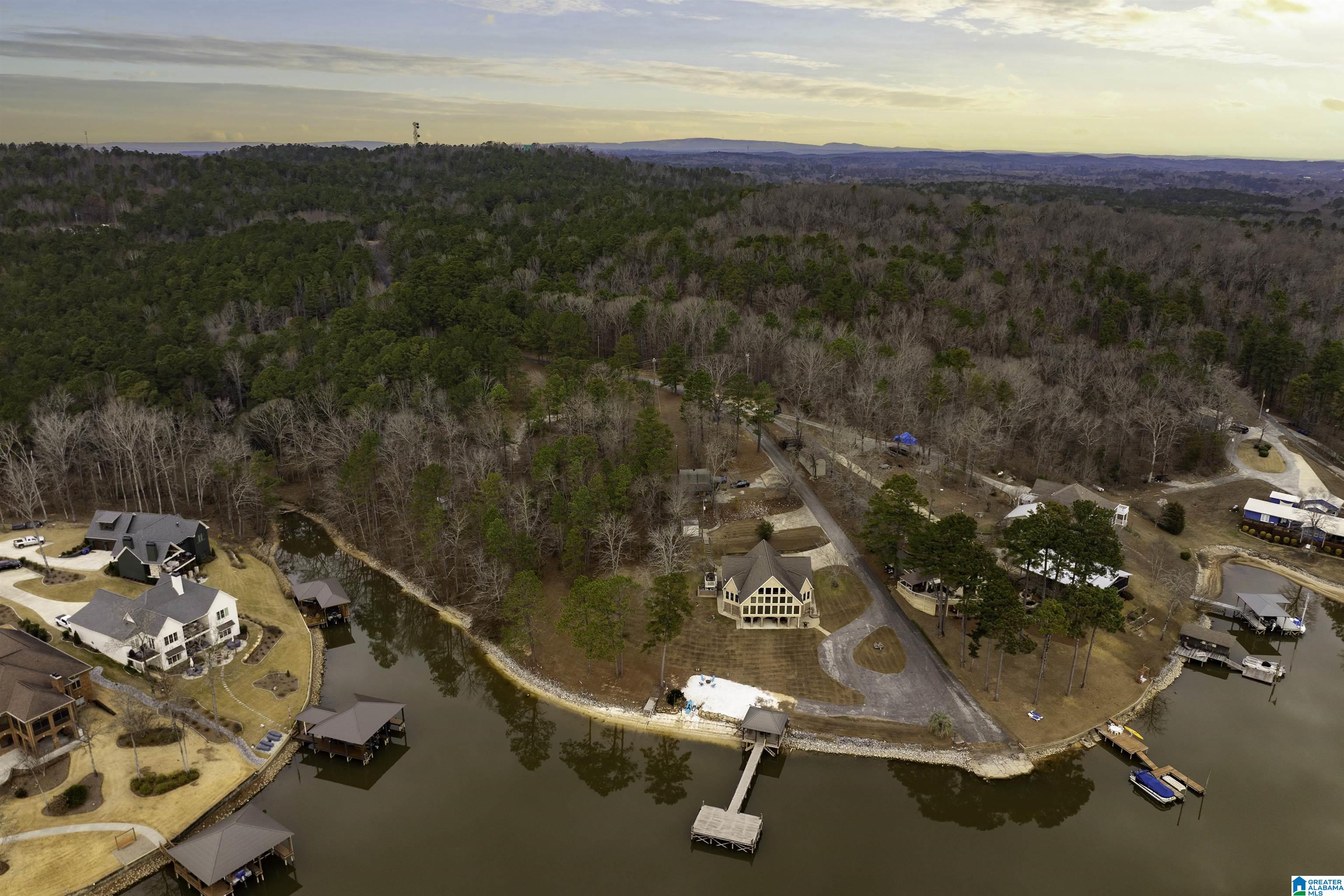 360 Frankies Road Vincent, AL 35178 - Photo 58 of 68