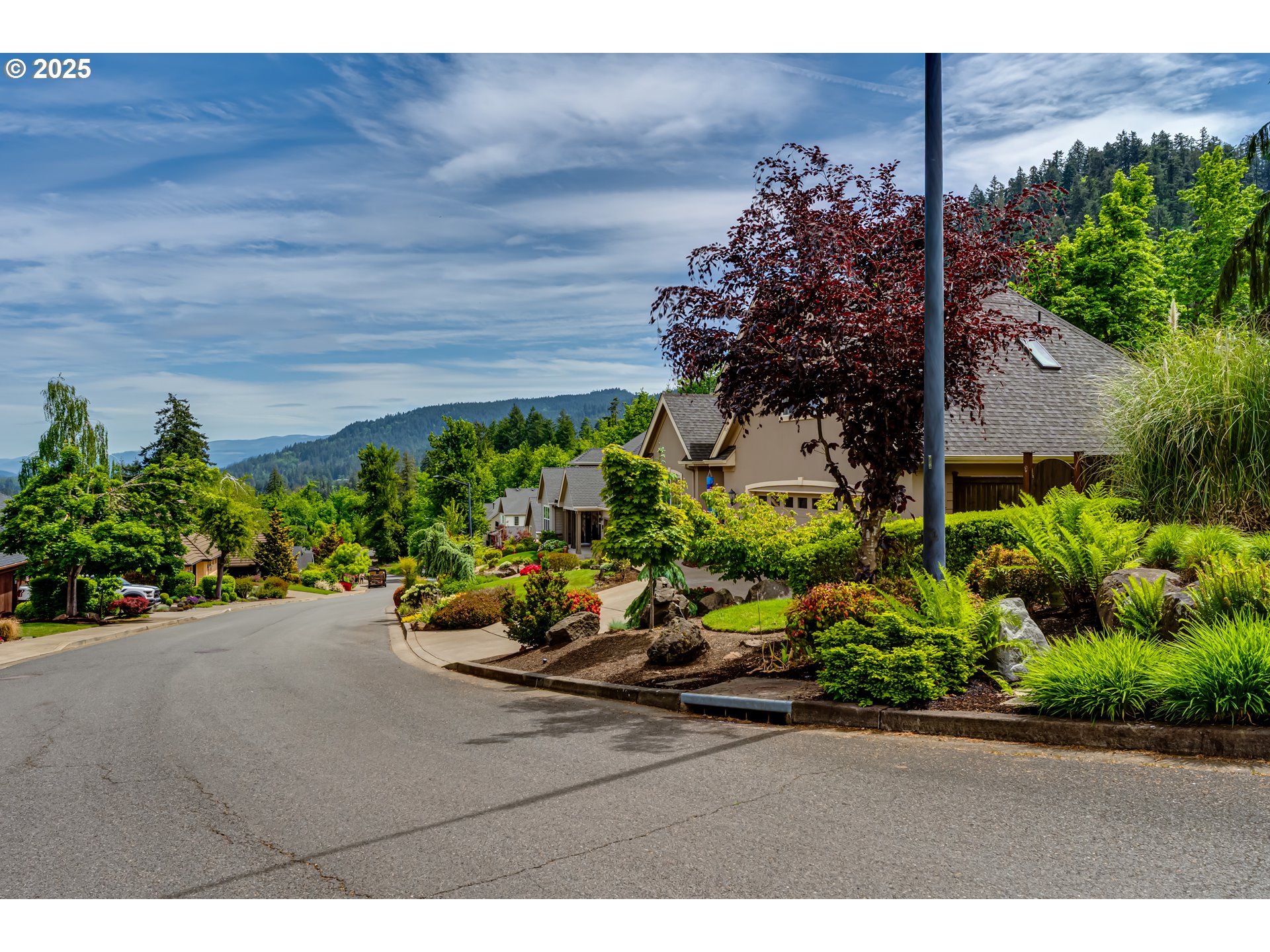 6111 Fernhill Loop Springfield, OR 97478 - Photo 4 of 48 a view of a backyard