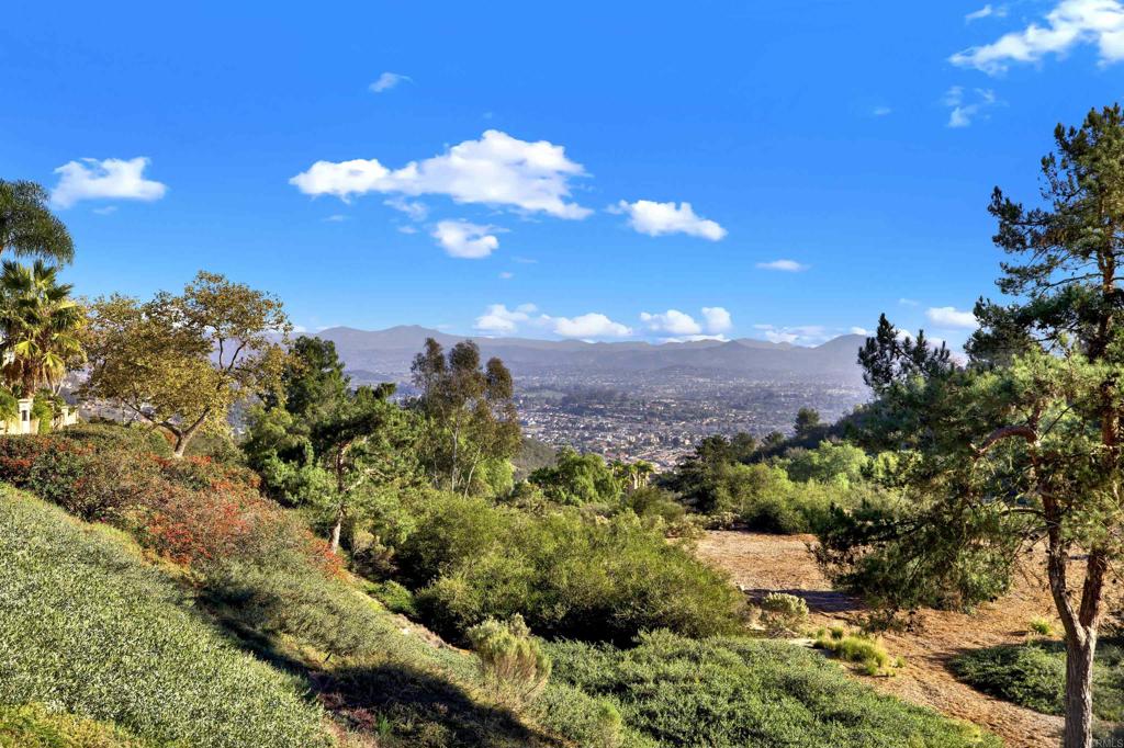 2022 Highland View Escondido, CA 92026 - Photo 4 of 47 a view of a flower in a garden