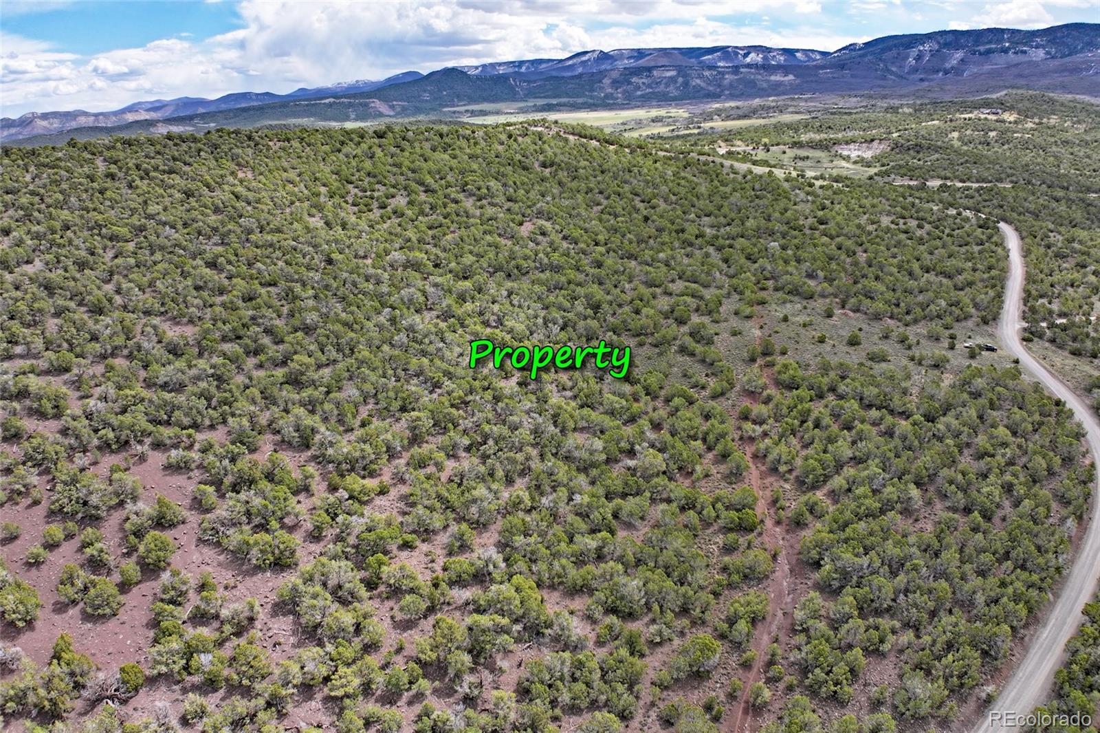0 KK Road Collbran, CO 81624 - Photo 5 of 11