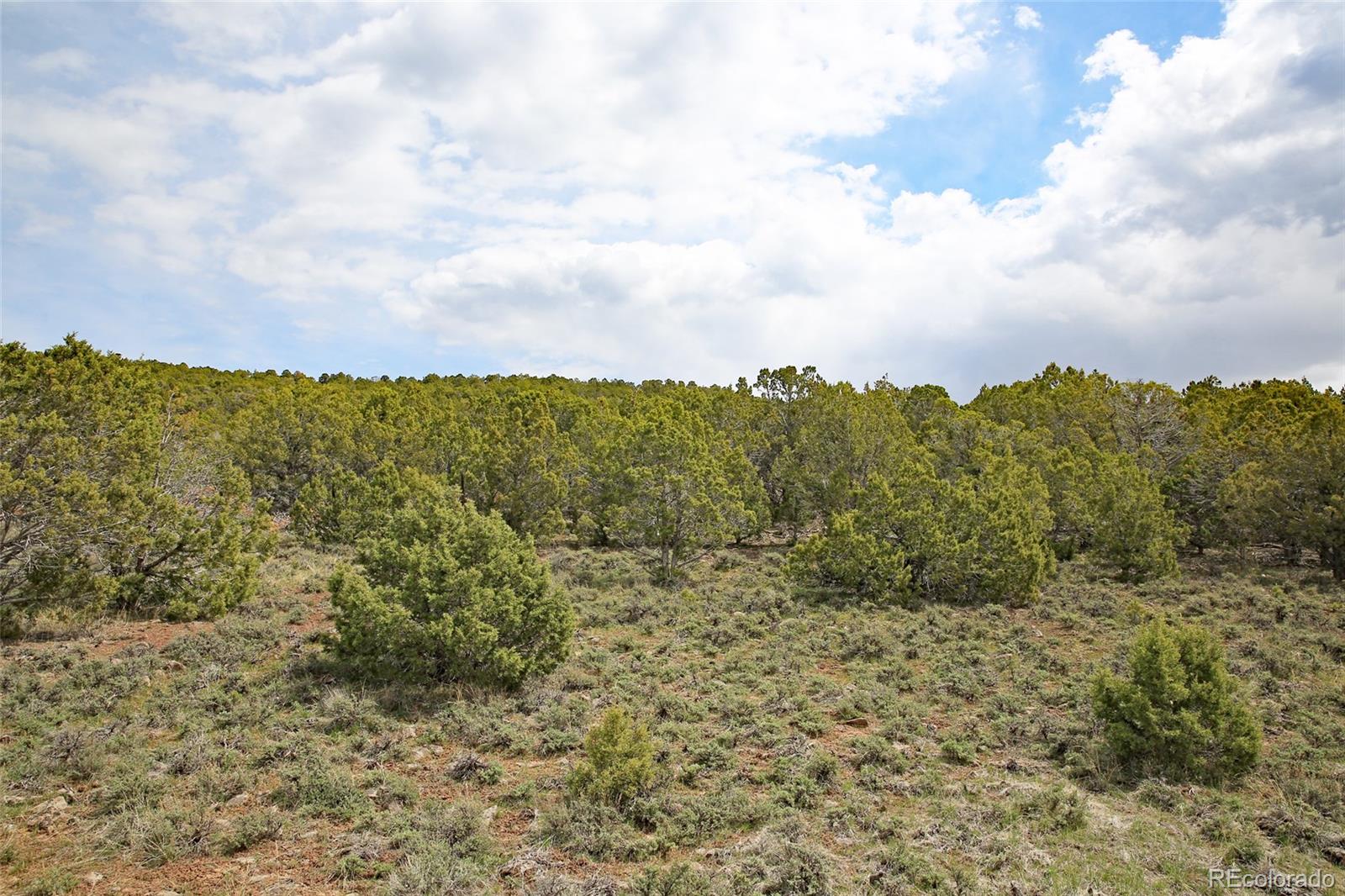 0 KK Road Collbran, CO 81624 - Photo 6 of 11